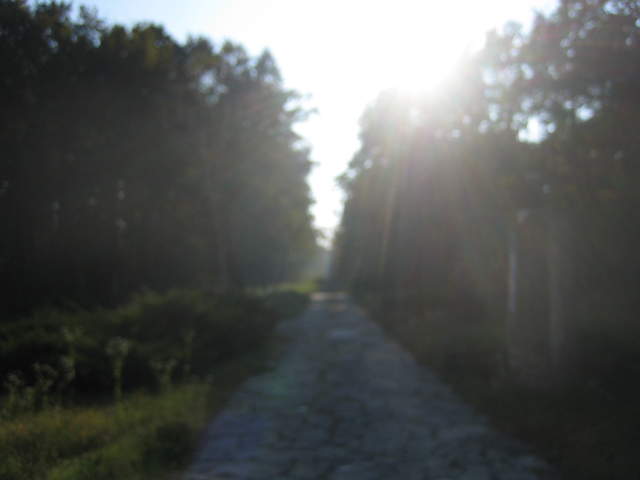 IMG_3284.JPG