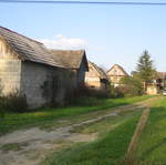 IMG_3308.JPG