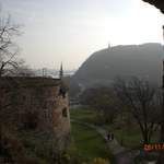 CIMG0253.JPG