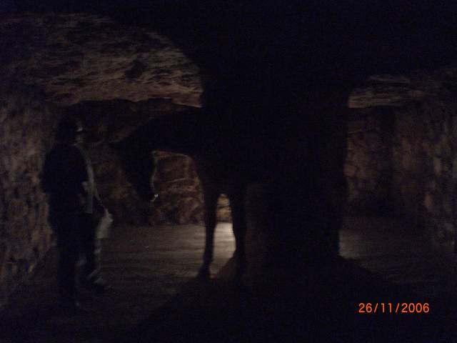 CIMG0280.JPG