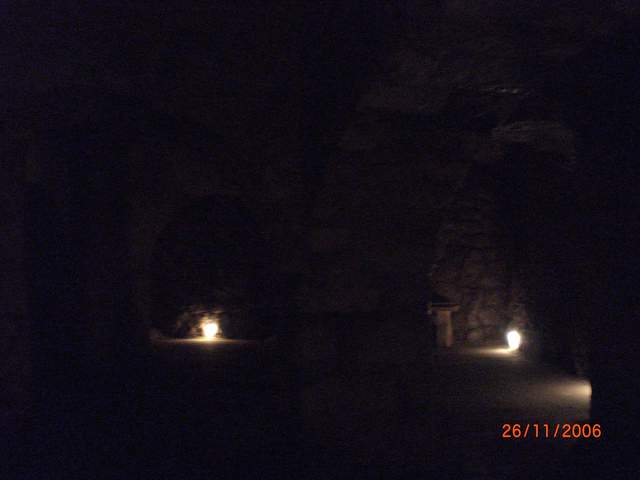 CIMG0283.JPG