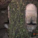 CIMG0285.JPG