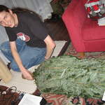 Kev unwrapping the tree