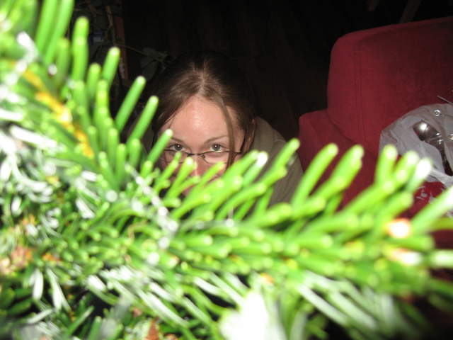 Ali hiding in the tree