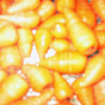 Carrots