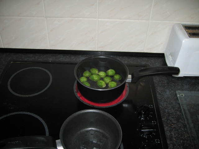 Sprouts