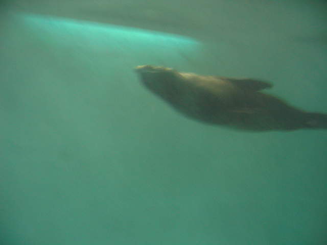 IMG_0160.JPG