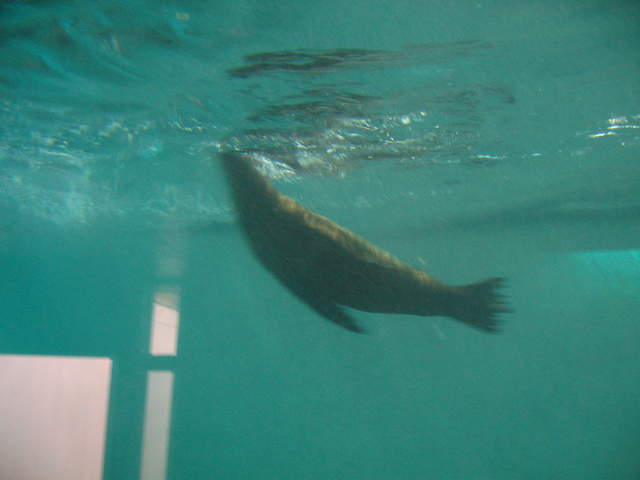 IMG_0157.JPG