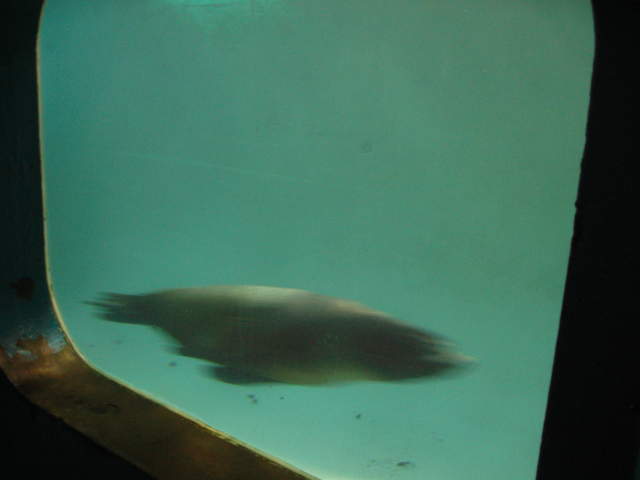IMG_0156.JPG