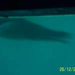 100_0108.JPG