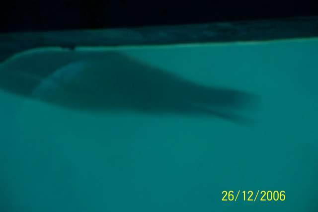 100_0108.JPG