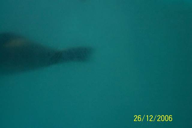 100_0104.JPG