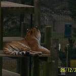 100_0101.JPG