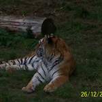 100_0100.JPG