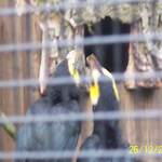 100_0077.JPG