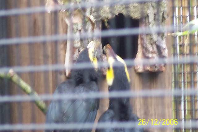 100_0077.JPG