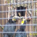 100_0076.JPG