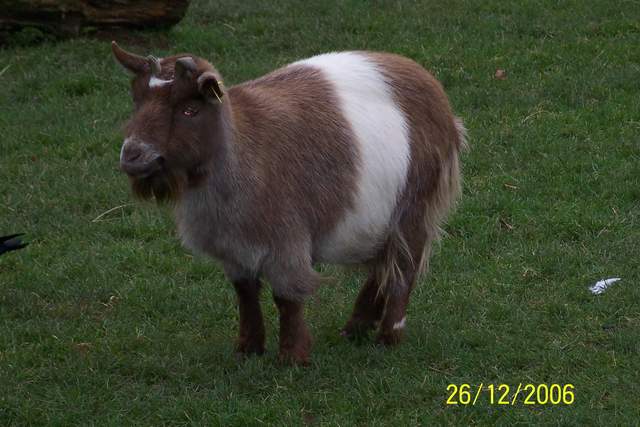 100_0062.JPG
