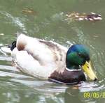 100_0404
