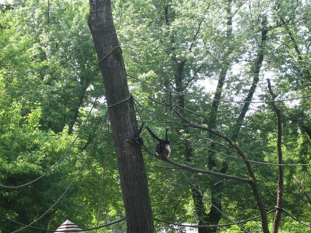 IMG_0132.JPG