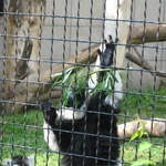 IMG_0199.JPG