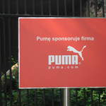 Puma, sponsoring Pumas at Warsaw Zoo