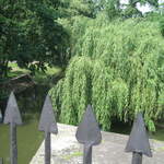 Lazienki Królewskie Park