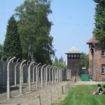 Contemplation Auschwitz