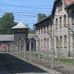 Fences at Auschwitz