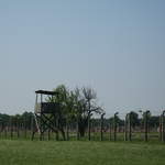 Watchtower at Birkenau