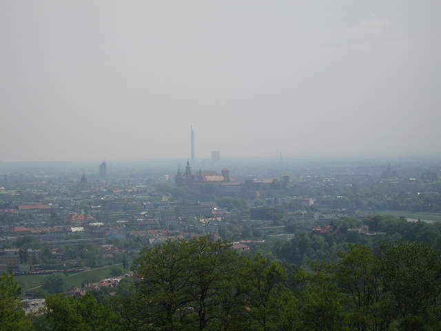 Wawel Hill from Kosciuszko's Mound