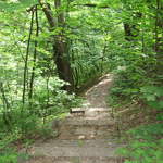 Path into the woods near Kosciuszko's Mound
