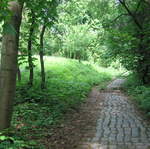 Path into the woods near Kosciuszko's Mound