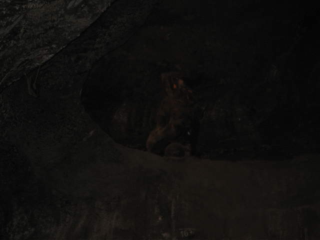 Wieliczka Salt Mines