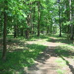 IMG_0042.JPG