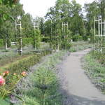 Rose Gardens on the top of Petřín Hill