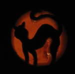 Witches Cat Pumpkin