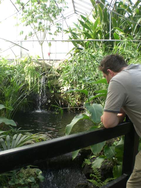 Alastair looking at the water, innit