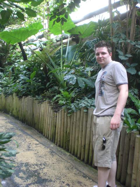 Mr Turton - Rainforest Explorer!