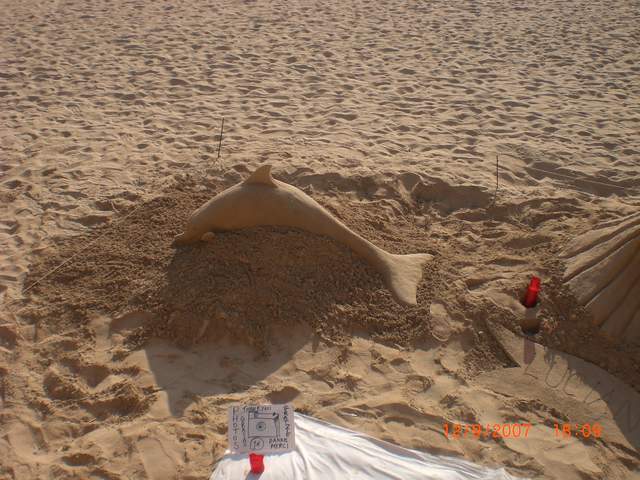 Sand dolphin