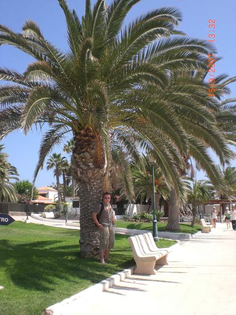 Turton seeking shade