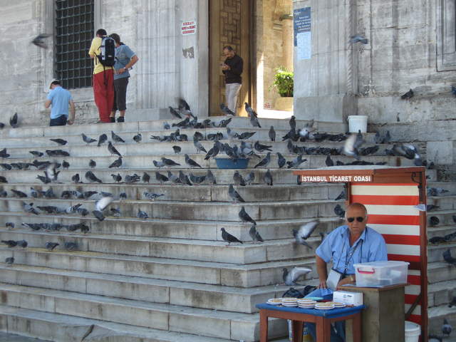 IMG_0585.JPG