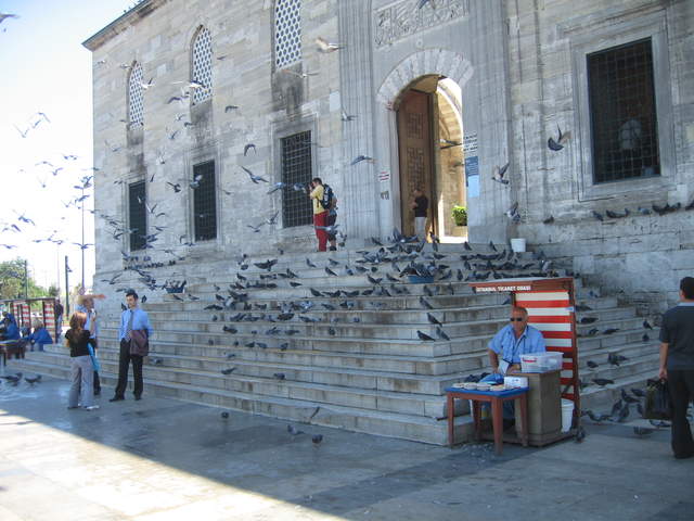 IMG_0584.JPG