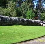 Armadale Castle gardens Isle of Skye