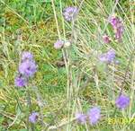 Gairloch holiday 2007 139