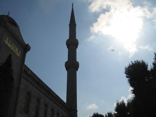 IMG_0712.JPG