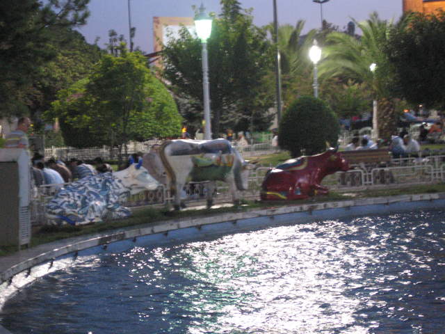 IMG_0695.JPG