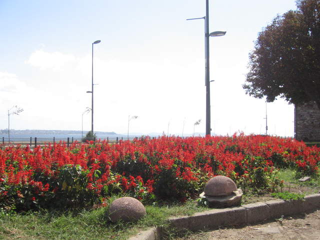 IMG_0701.JPG