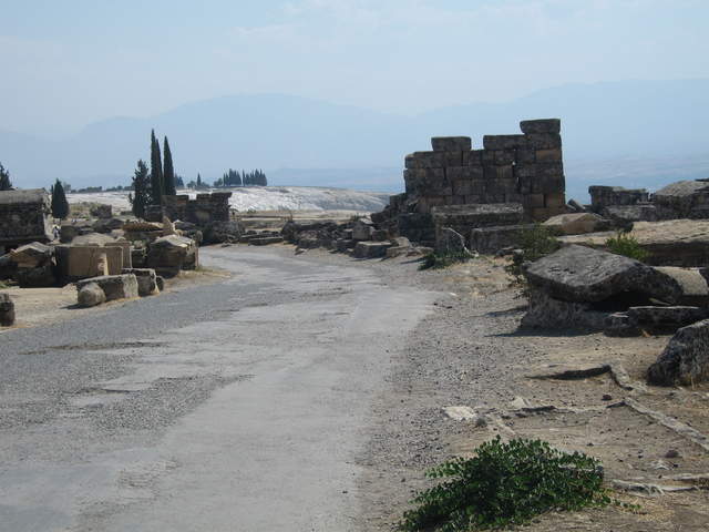 IMG_0785.JPG