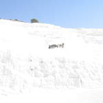 IMG_0752.JPG